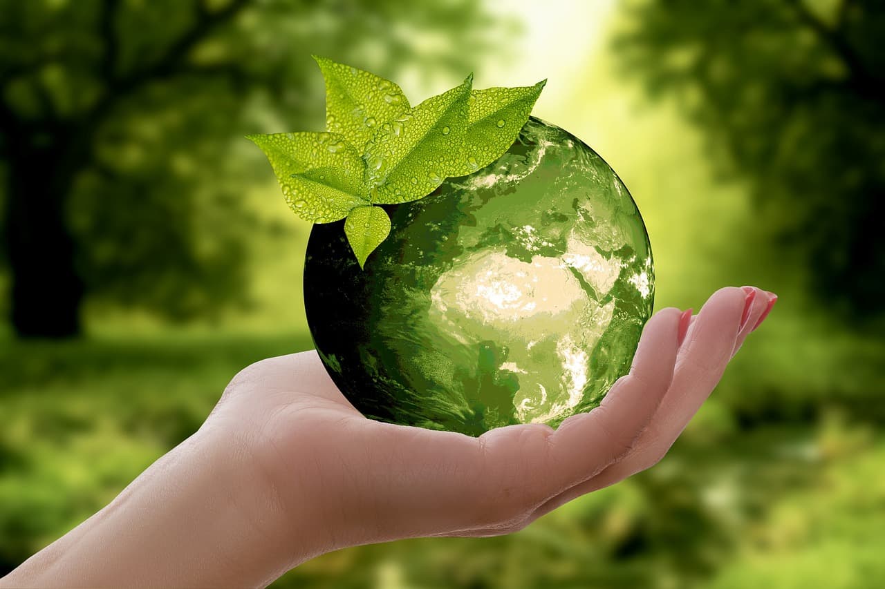 Environmental Conservation